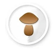 92839f301a017dfeb0cc922ecfbeb4c4