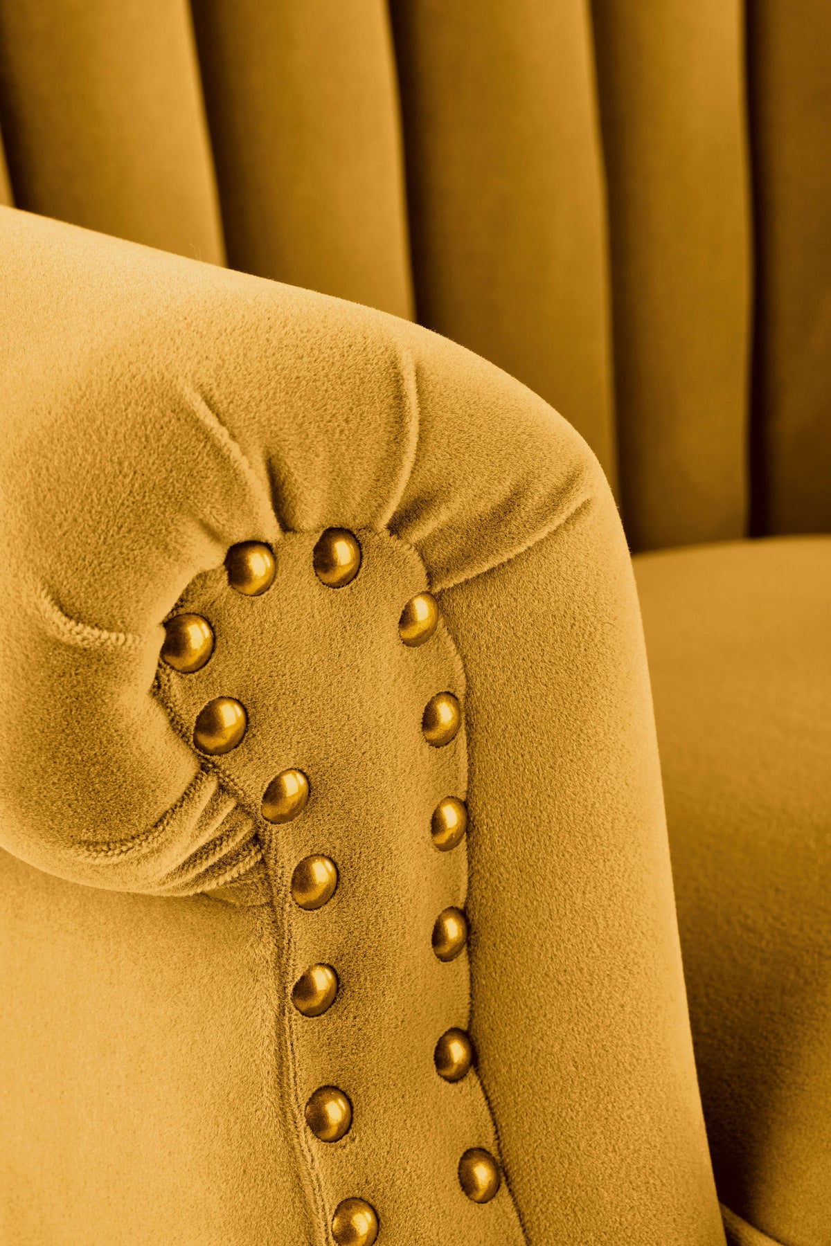 Fotel CHABO - musztardowy / velvet - 5