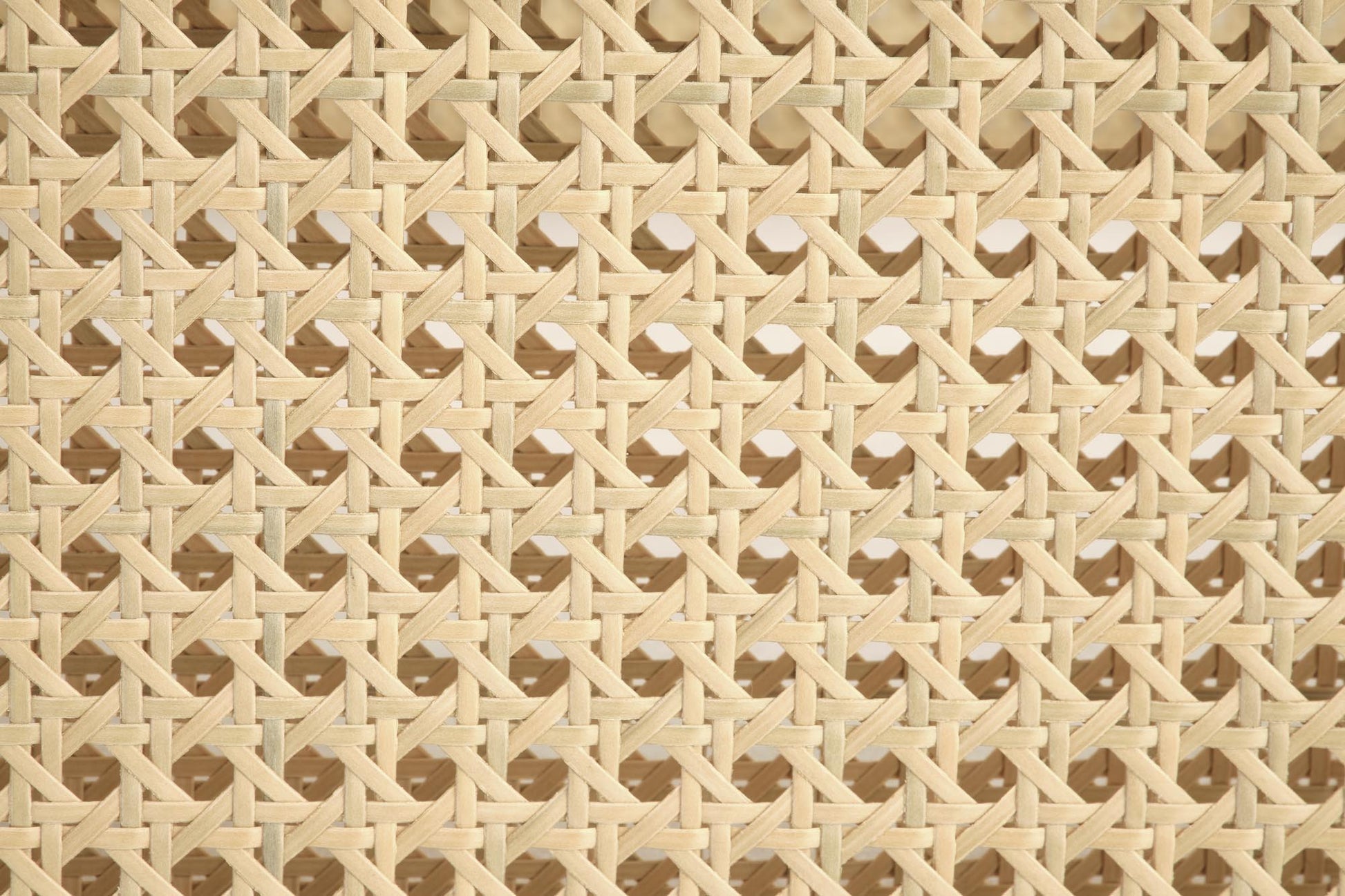 cc6c69a8d8b2bf11e88cea1ce394a77d