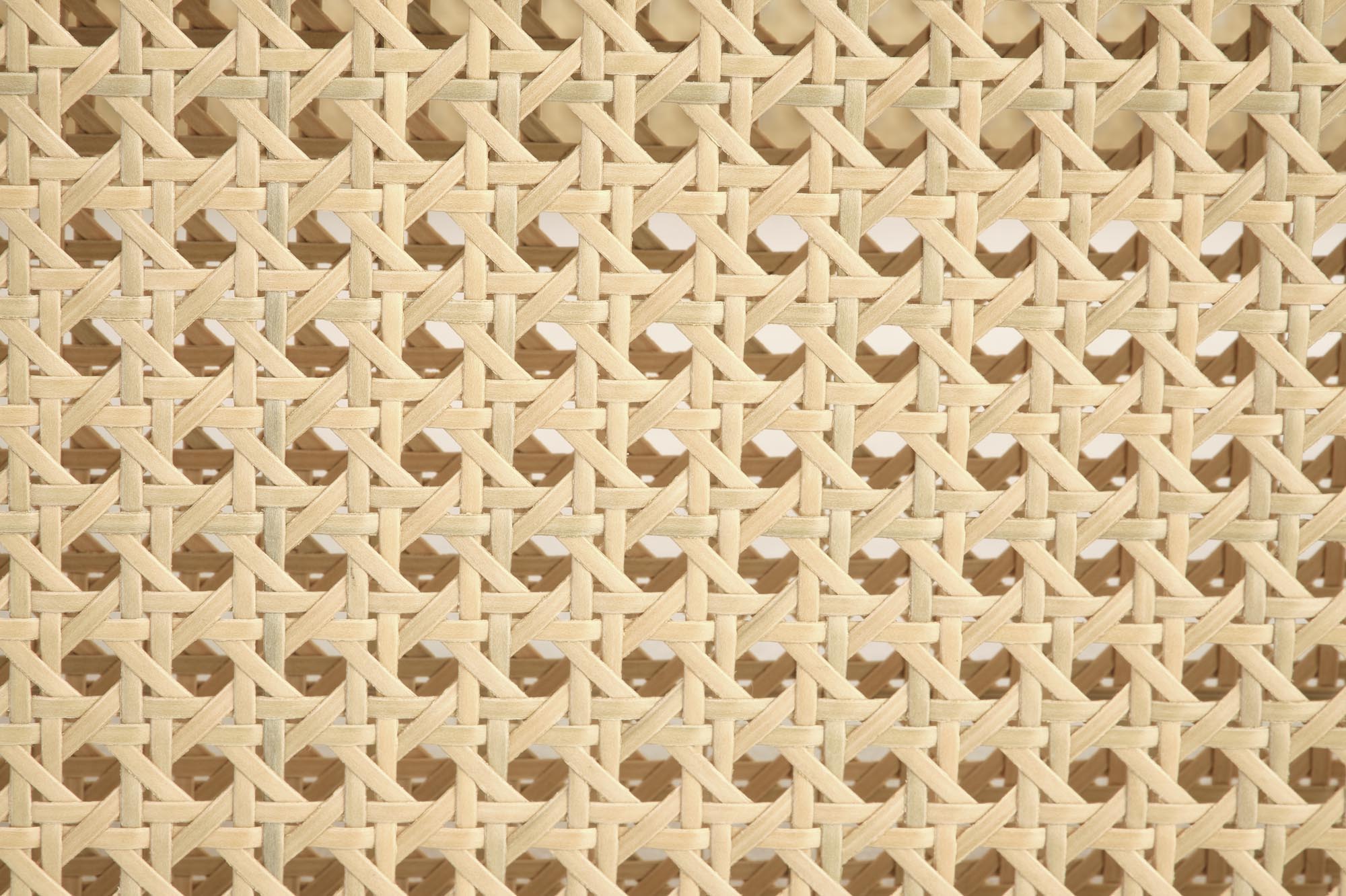 cc6c69a8d8b2bf11e88cea1ce394a77d