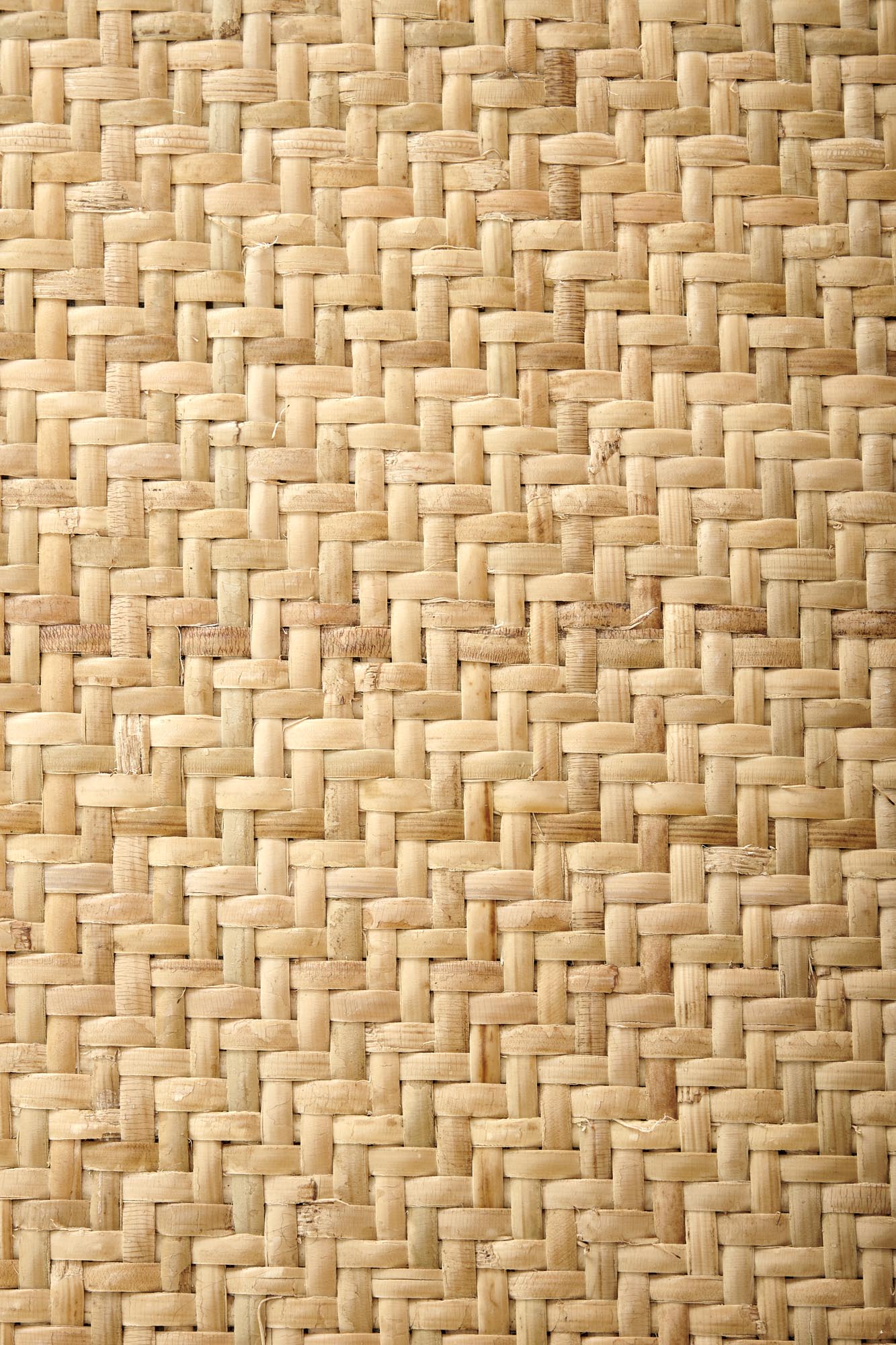 21b6b37b5861e0556107ca246a3a26e2