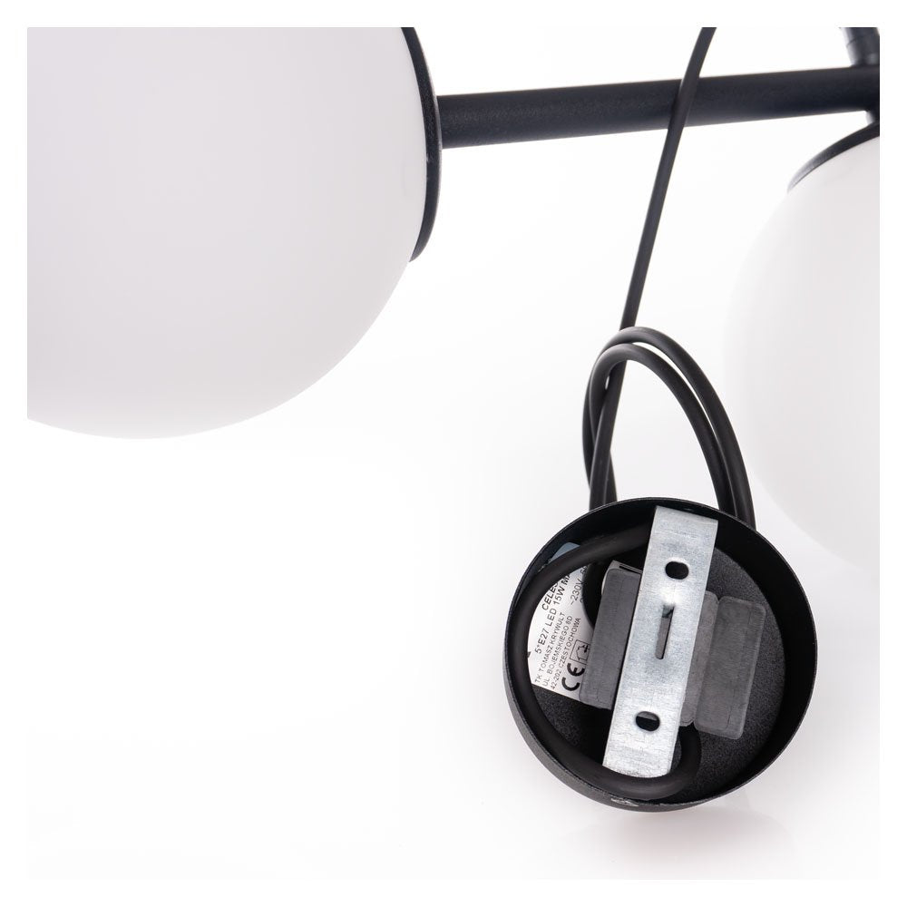 107b461283fb99fe9c16108db44f16c4