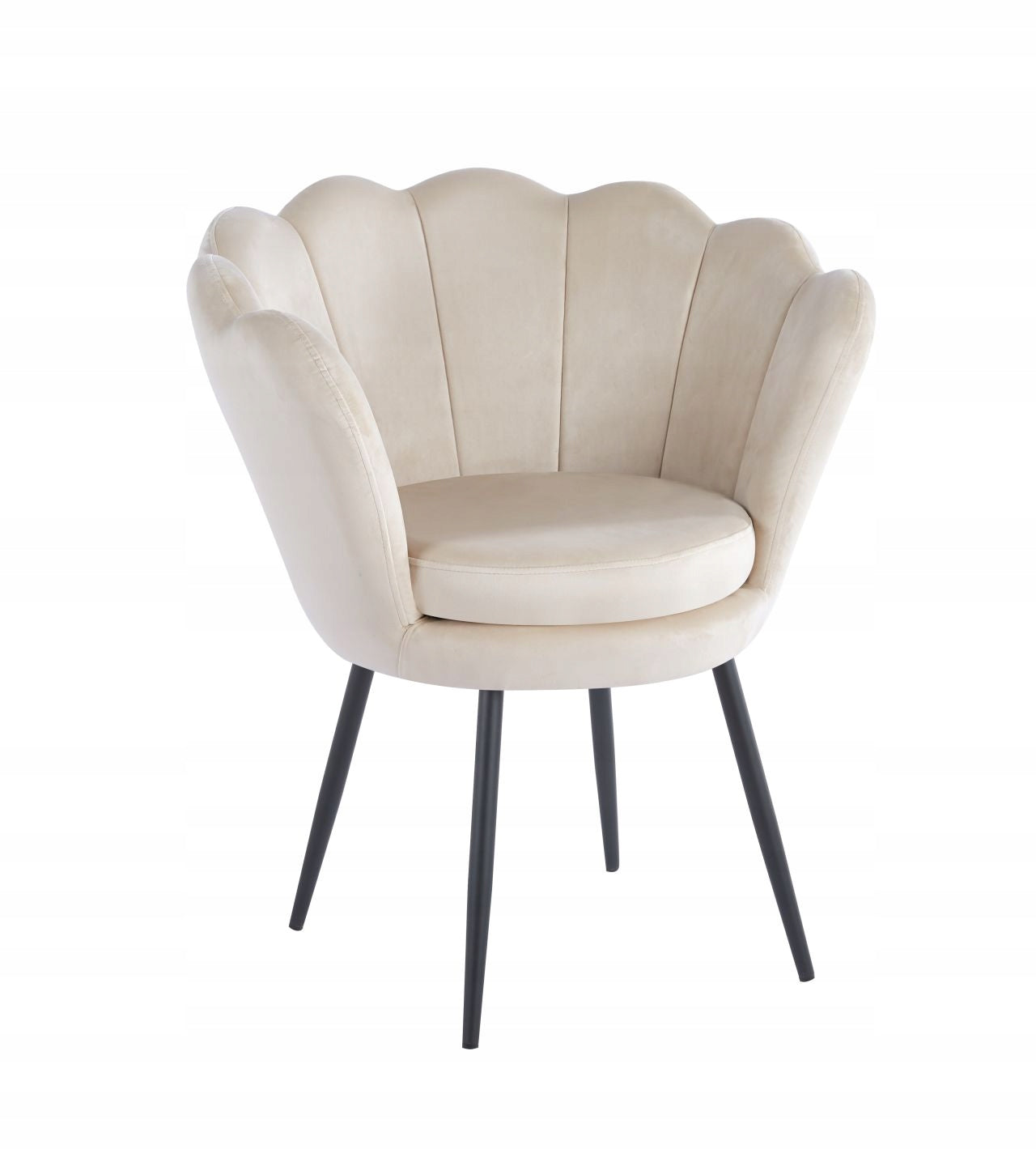 09a6b4716078a3a926d097357b6cbbea